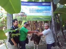 Momen Idul Adha Komunitas Datsun Potong Hewan Qurban