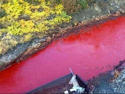 Terkuak! Misteri Air Sungai di Rusia yang Berubah Jadi Merah Darah