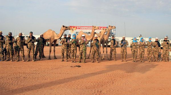 Pasukan Garuda Tebar Hewan Kurban di Sudan