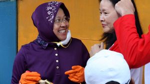 Risma Cat Rumah Nelayan