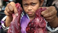 Antre Daging Kurban Kemendag
