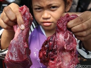 Antre Daging Kurban Kemendag