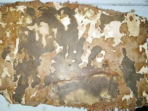 Satu Lagi Puing Diduga MH370 Ditemukan di Madagaskar, Ada Bekas Terbakar