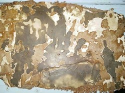 Satu Lagi Puing Diduga MH370 Ditemukan di Madagaskar, Ada Bekas Terbakar