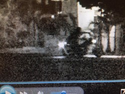 Terekam CCTV, Ini Sosok Pelaku Pembakar Islamic Center di Florida AS