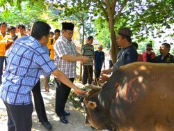 Agung Laksono Ajak PDIP Dukung Ahok