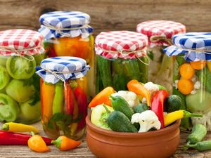 Diyakini Lebih Bernutrisi, Makanan yang Difermentasi Makin Disukai Diyakini Lebih Bernutrisi, Makanan yang Difermentasi Makin Disukai