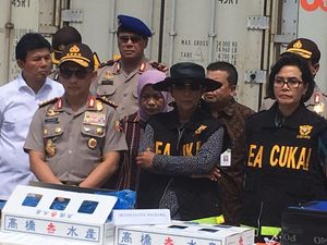 Marak Penyelundupan Baby Lobster, Susi: yang Untung Vietnam