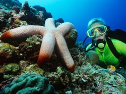 Indonesia Promosikan Wisata Diving di China
