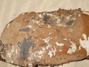 Australia Tegaskan Tak Ada Bukti Puing Diduga MH370 Terpapar Api