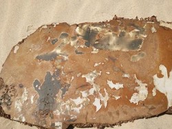 Australia Tegaskan Tak Ada Bukti Puing Diduga MH370 Terpapar Api