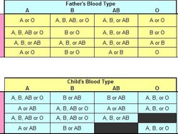 Anak Mirip Mantan Pacar Istri, Pria Ini Tes DNA dan Hasilnya...