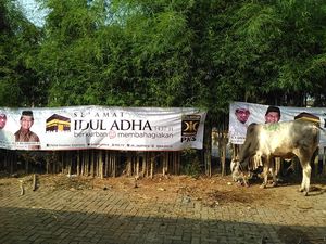 PKS Distribusikan 76.600 Hewan Kurban dari Aceh Sampai Papua