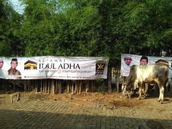 PKS Distribusikan 76.600 Hewan Kurban dari Aceh Sampai Papua