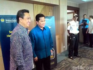Ikut Tax Amnesty, Boy Thohir: Prosesnya Mudah dan Cepat