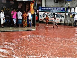 Banjir Darah di Dhaka, Darah Hewan Kurban Tersapu Banjir Setelah Idul Adha