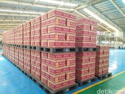 Pelumas Pertamina Enduro Matic-G Dibanderol Mulai Rp 33 Ribu