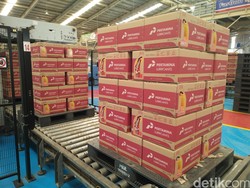 Sudah Jajaki 18 Negara, Pertamina Lubricants Ingin Perluas Pasar Ekspor