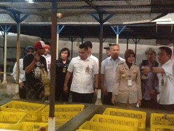 Polda Metro Bongkar Gudang Eksportir Bibit Lobster Ilegal di Tangerang