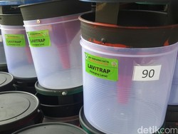 Potret Pemasangan Perangkap Nyamuk di Bandara Soekarno Hatta