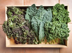 Bapak-bapak! Ini 6 Makanan Alami yang Bikin Sperma Lebih Sehat