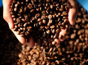 5 Makanan Enak Ini Terancam Punah