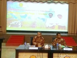 Mentan Ingin Beras Organik Dikembangkan di Wilayah Perbatasan