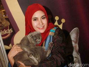 Anisa Rahma Jadi Juri Pemilihan Kucing Terlucu