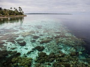Wakatobi Ingin Ada Penerbangan Langsung dari Bali