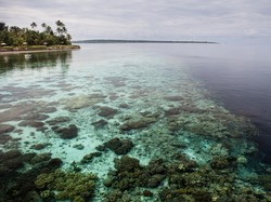 Indonesia Promosi Wisata Bawah Laut Sampai Las Vegas