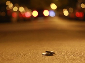 Satu Kota 522 Pembunuhan