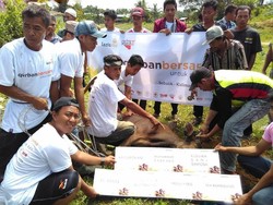 Lazismu Catat Total Nilai Ekonomi Qurban 2016 Mencapai 240 M