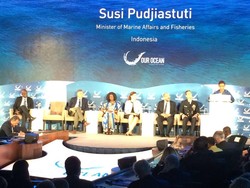 Catatan Menteri Susi Soal Pulau Reklamasi: Fisik dan Gambar Berbeda