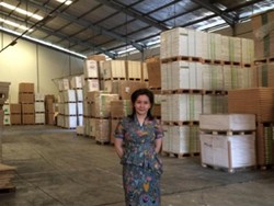 Tintinwati Halim, Sosok di Balik Pemasok Kertas PT Sinarmas