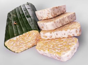 Begini Proses Fermentasi pada Pembuatan Tempe Begini Proses Fermentasi pada Pembuatan Tempe