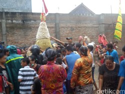 Hujan Deras, Warga Tetap Serbu Gunungan Ribuan Bakpia di Yogyakarta