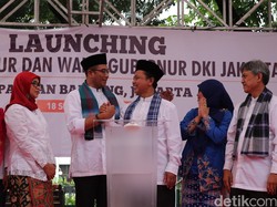 Soal 650 Ribu Pemilih Ganda, KPU: Mestinya Bawaslu Lapor Kami, Bukan Ahok