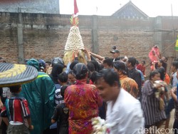 Catat! 10 Ribu Bakpia Siap Dibagikan Gratis di Yogyakarta