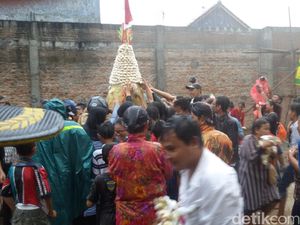 Catat! 10 Ribu Bakpia Siap Dibagikan Gratis di Yogyakarta Catat! 10 Ribu Bakpia Siap Dibagikan Gratis di Yogyakarta