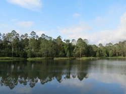 Pemerintah Tambah Anggaran Rehabilitasi DAS Citarum