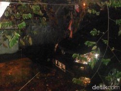 Pohon Tumbang Timpa Mobil di Jaktim, Tidak Ada Korban Jiwa