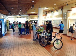 Kampus Ini Punya Kantin Bebas Gluten Bersertifikat Pertama di Dunia