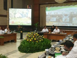 Jaga Harga Jagung Petani, Mentan: Saya Pertaruhkan Jabatan