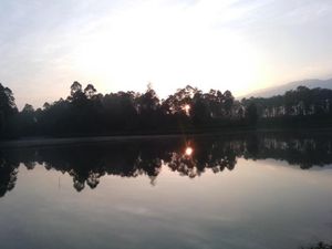 Potret Serunya Traveling ke Danau Cisanti