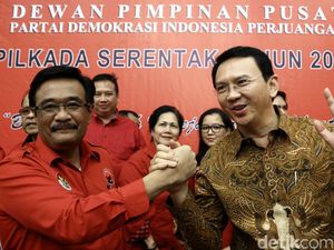 PDIP Klaim Sebagai Ketua Timses Ideal untuk Ahok-Djarot