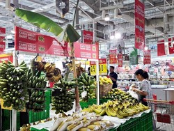 Promo Buah Lokal Pisang Barangan di Transmart Carrefour