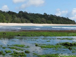 Contohlah Banyuwangi, Jago Promosi Pariwisata Pakai Digital