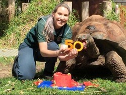 Cerro Si Kura-kura Raksasa di Perth Zoo Rayakan HUT ke-50