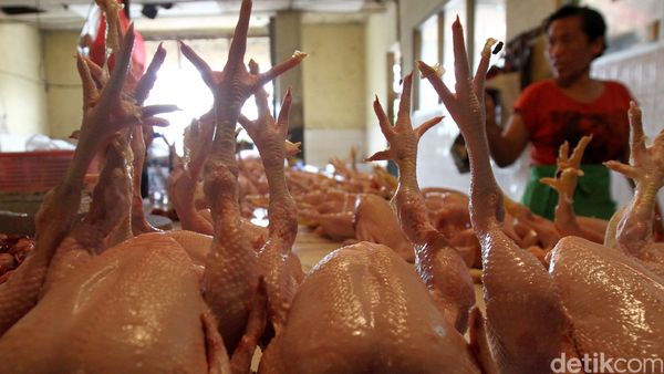 Harga Pangan Masih Stabil