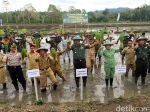 Prajurit TNI Bersama Petani Tanam Padi di Sulawesi